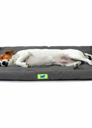 V5H1485027E5B3F7C0497A9EE29644B39DFR5780311P3