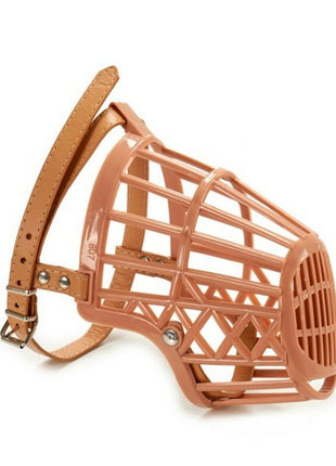 V14H7D1DD57683C8E88D9A72CC2287C66629R5426970P1