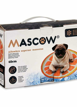 V4HA3D2BCEE2778346602350E52C2FFDED6R7185955P4