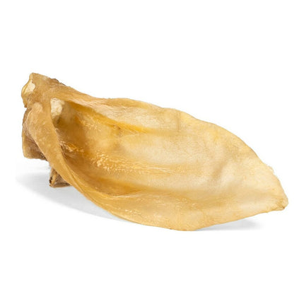 V10H37937DF502C967D5F9D211D51F3D26B2R3725547P1