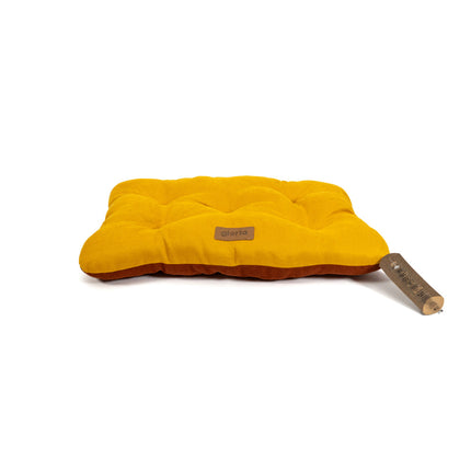 V3H2D47BE78CCC32EC0DD3C9ABCA6E47FBDR5594650P1