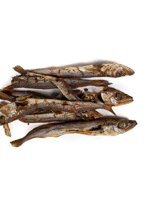 V5HE1931BDD9B69C3E0DA3E893F1BA0123BR5292986P2