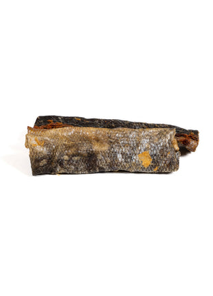 V5H1B0B411E3032A924DBA60CED58040B58R5292972P2