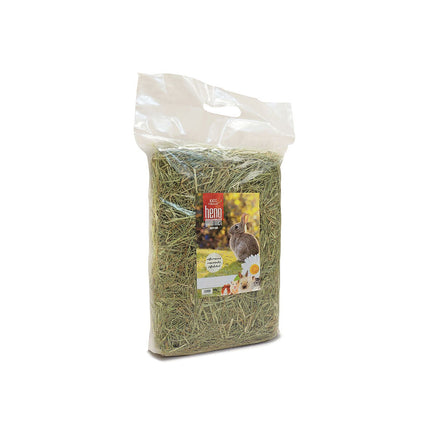 V6HC0AE1793AC00324DFD5B36CEEC39E41FR7445418P1