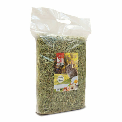 V6H53A6A81E9A4DAD56674DC91D3375F26BR7445422P2