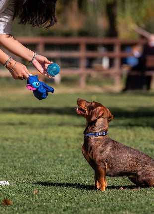 V4H7284B04090D9F6B16BB7135D8863FF77R5308649P7