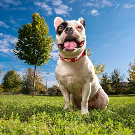 V5H0BE3544198ABE905C5E7D827640EC497R4703589P9