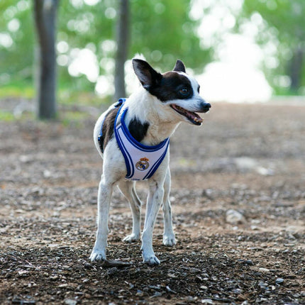 V2HBB2A47B83E3663301DCDECB30CF70443R7164317P5