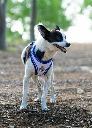 V4H4B54BCABC44ED2C692F94450EF983E0ER7186619P4