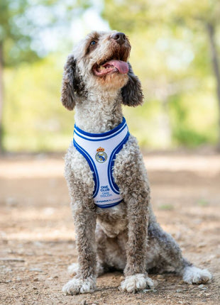 V4HB89E3B49CA9F025B48DB24DF458FECBFR7186626P9