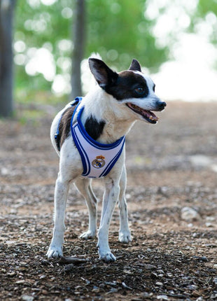 V4H4F8EBF4D4EEA76236892A04E9DC9515FR7186628P10