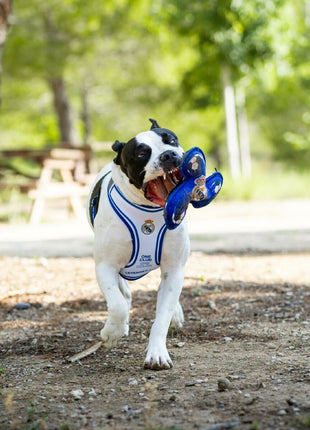 V4H4F45453E35495E783DDAD62643881888R7021663P3