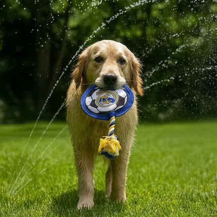 V3HA4C4C4126224C10B33BBFD152A7E7C58R6293325P3