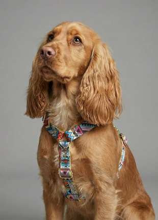 Hundegeschirr Ethnic Vibrance