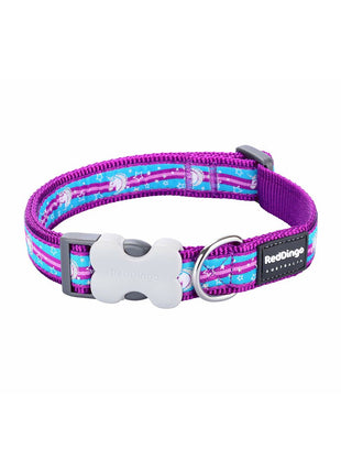 V8H247C2FF78B423C8DF199D2214566F4E2R7646819P1