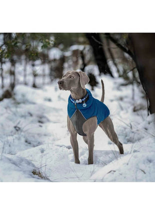 V12HC04B58BFFBD27A17B0261EB430E90894R4287818P2