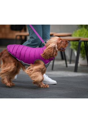 V12HBBC9036486FE080D677AB7BF0E75743ER5500997P5