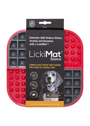 V6H928C7FF5908E0F15D7AF7CF9F0AE2193R4438081P2