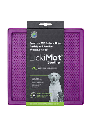 V9H90BF5F0E4D4C8A03F3892D8A5C1E62E2R4268330P1