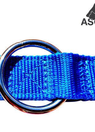 ASCO Hundeleine mit Ruckdämpfer 100-200 cm