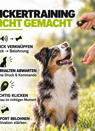ASCO Premium Clicker – Professional clicker training clicker for dogs, cats, horses 