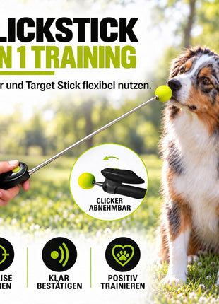 ASCO ClickStick - Target Stick with Detachable Premium Clicker - Target Stick for Dog and Cat Clicker Training - Extendable Target Stick with Extra Clicker - Target Stick for Target Training 