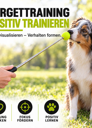 Target Stick für Hunde & Katzen mit Softball | ASCO