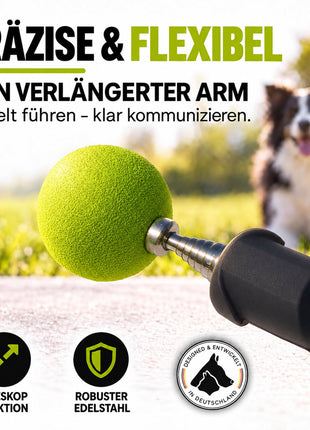 Target Stick für Hunde & Katzen mit Softball | ASCO