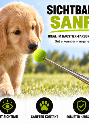 Target Stick für Hunde & Katzen mit Softball | ASCO