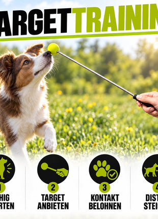 Target Stick für Hunde & Katzen mit Softball | ASCO