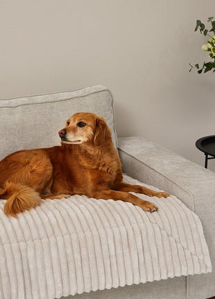 Einlage MJUCK Breitcord