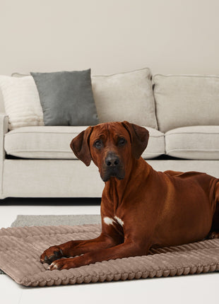 Einlage MJUCK Breitcord