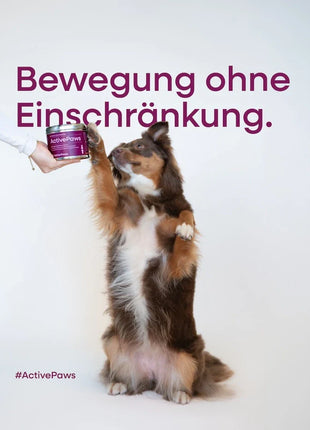 ActivePaws