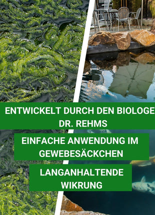 Fadenalgen bekämpfen  mit Algiforte von Aqua-Cereal