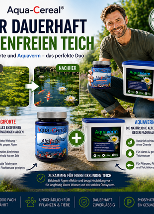 Fadenalgen bekämpfen  mit Algiforte von Aqua-Cereal