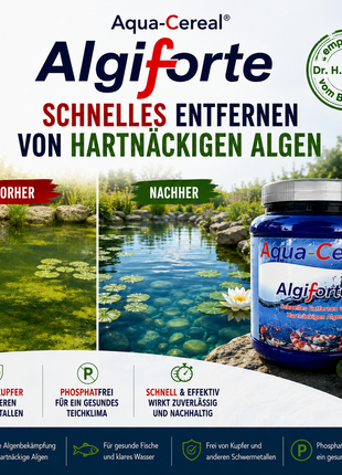 Fadenalgen bekämpfen  mit Algiforte von Aqua-Cereal