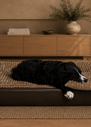 All-In Relax Bundle | KUDDE Hundebett + Einlage & Kissen