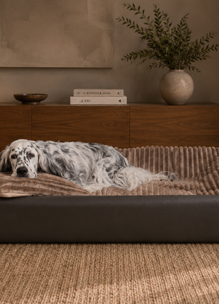 All-In Relax Bundle | KUDDE Hundebett + Einlage & Kissen