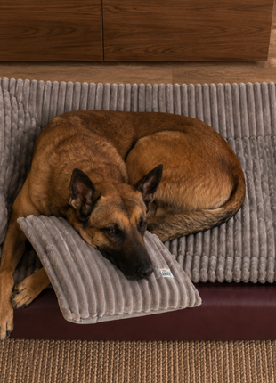 All-In Relax Bundle | KUDDE Hundebett + Einlage & Kissen