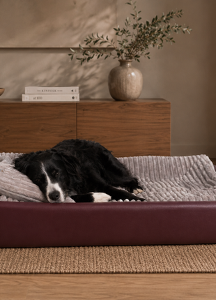 All-In Relax Bundle | KUDDE Hundebett + Einlage & Kissen