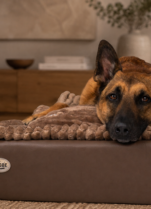 All-In Relax Bundle | KUDDE Hundebett + Einlage & Kissen