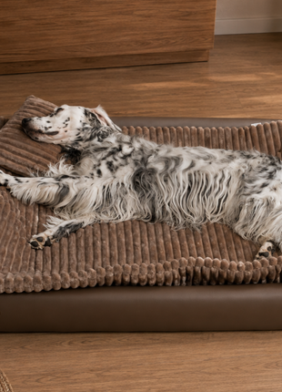 All-In Relax Bundle | KUDDE Hundebett + Einlage & Kissen