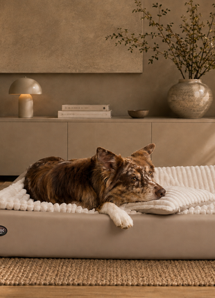 All-In Relax Bundle | KUDDE Hundebett + Einlage & Kissen