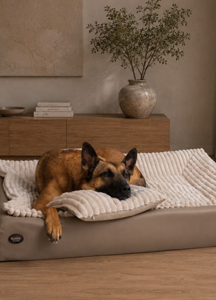 All-In Relax Bundle | KUDDE Hundebett + Einlage & Kissen