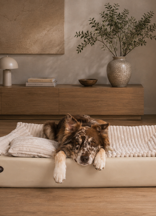 All-In Relax Bundle | KUDDE Hundebett + Einlage & Kissen