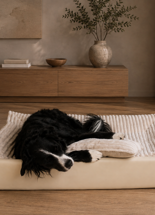 All-In Relax Bundle | KUDDE Hundebett + Einlage & Kissen