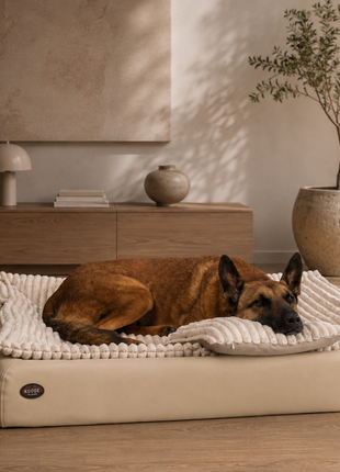 All-In Relax Bundle | KUDDE Hundebett + Einlage & Kissen