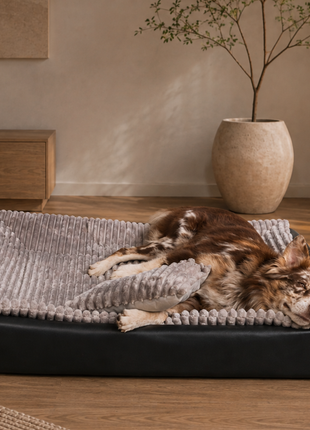 All-In Relax Bundle | KUDDE Hundebett + Einlage & Kissen