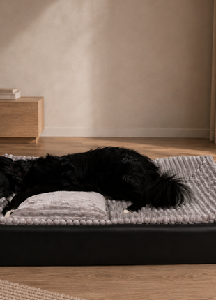 All-In Relax Bundle | KUDDE Hundebett + Einlage & Kissen
