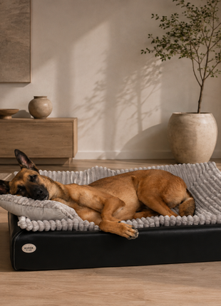 All-In Relax Bundle | KUDDE Hundebett + Einlage & Kissen